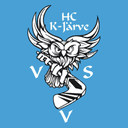 HK VVS