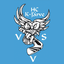 HK VVS