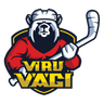 HK VIRU VÄGI
